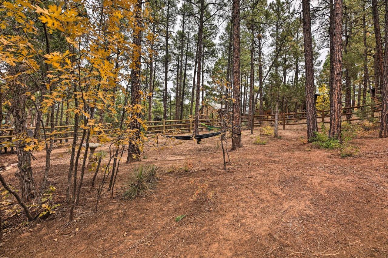 Pet-Friendly Show Low Cabin With Trail Access! Εξωτερικό φωτογραφία